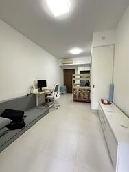 The Miltonia Residences (D27), Condominium #482311221